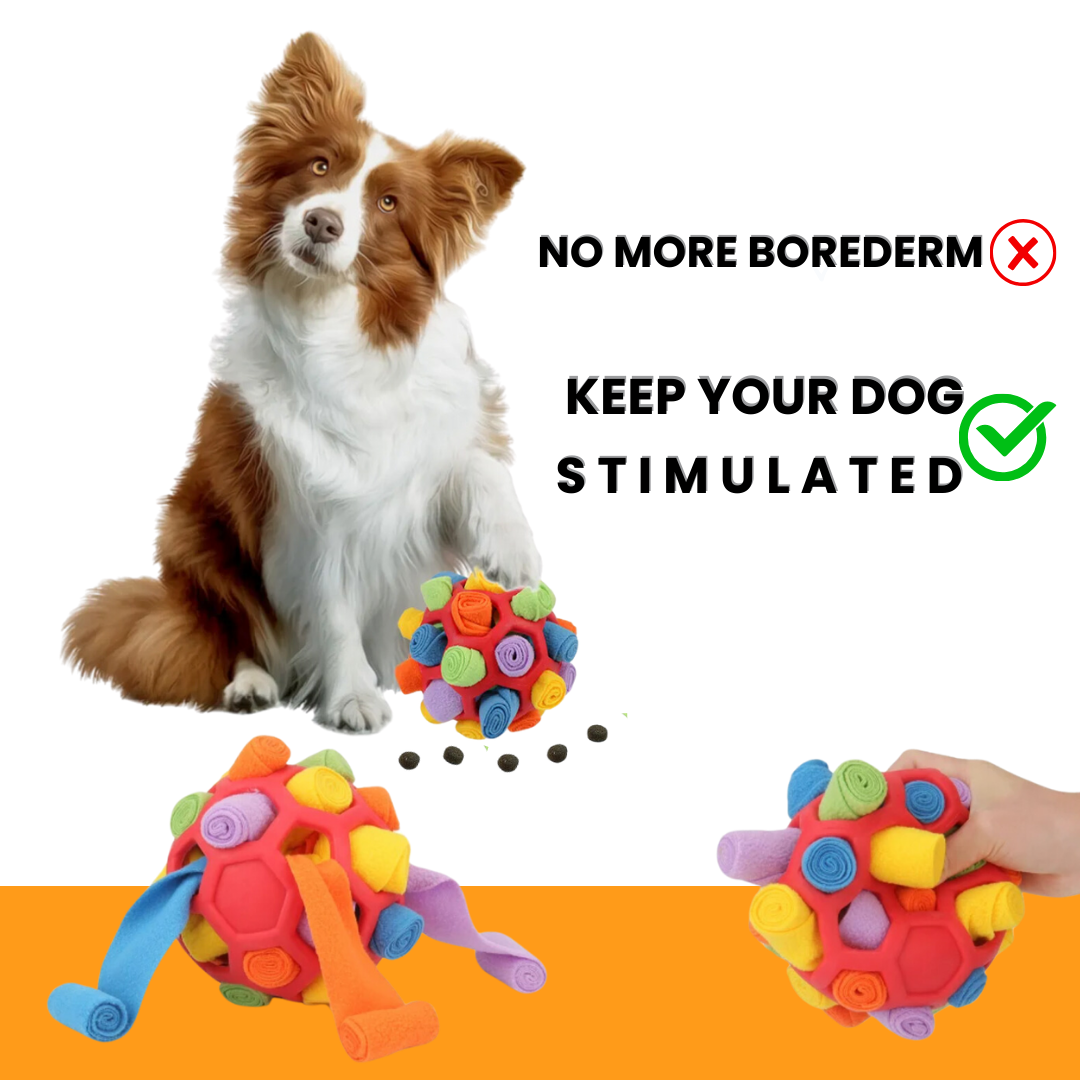 Dog Sniffing Interactive Toy