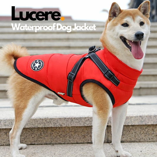 Waterproof Dog Jacket