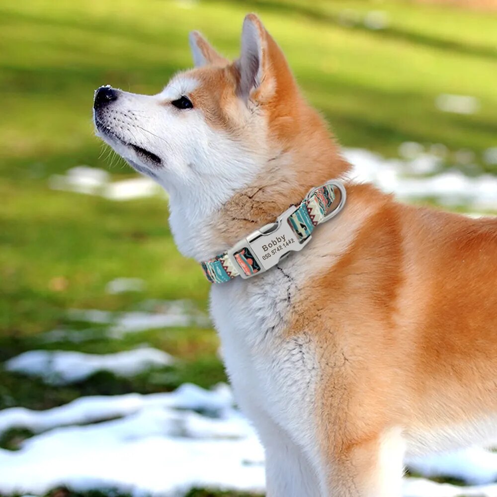 Personalised Dog Collar (Vintage collection)