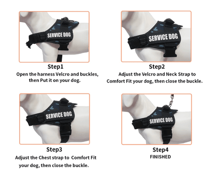 Personalised No Pull dog harness