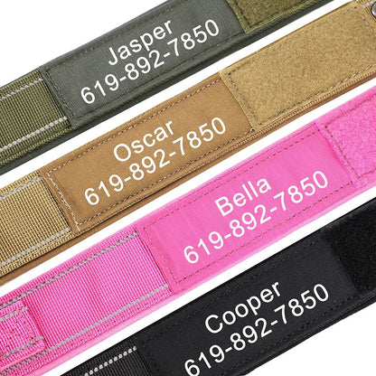 Personalised Dog Collar (Nylon)