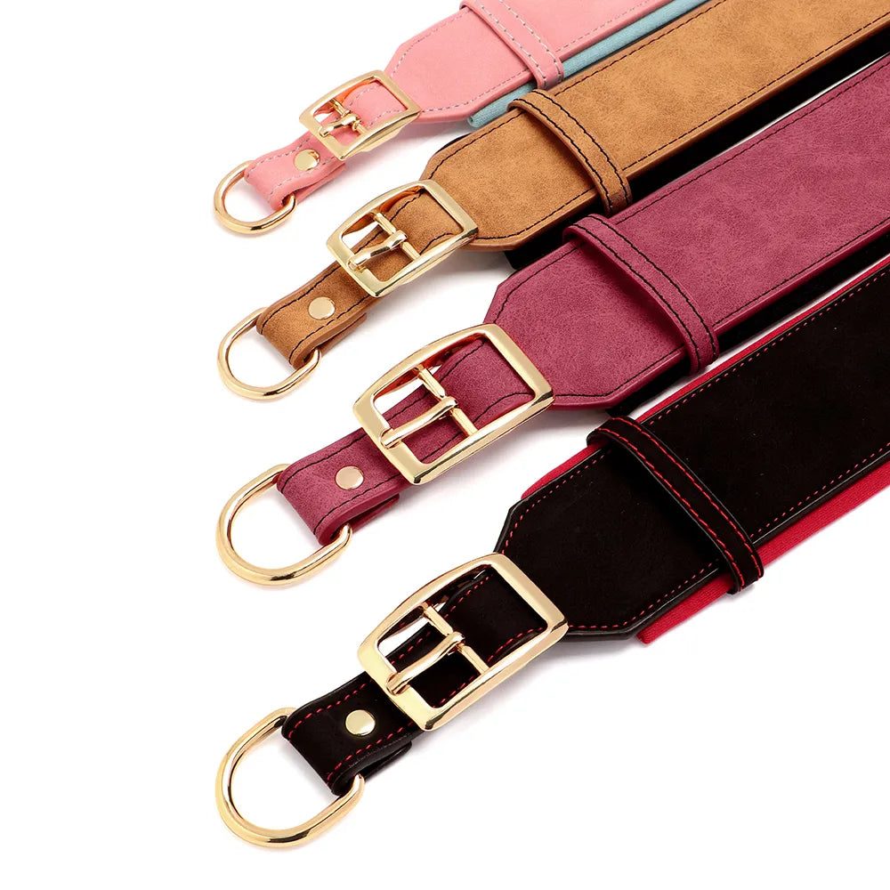 Premium Personalized Dog Collar