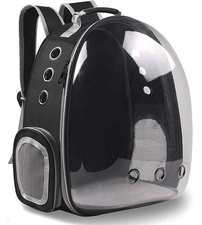 Cat Backpack Travel Capsule