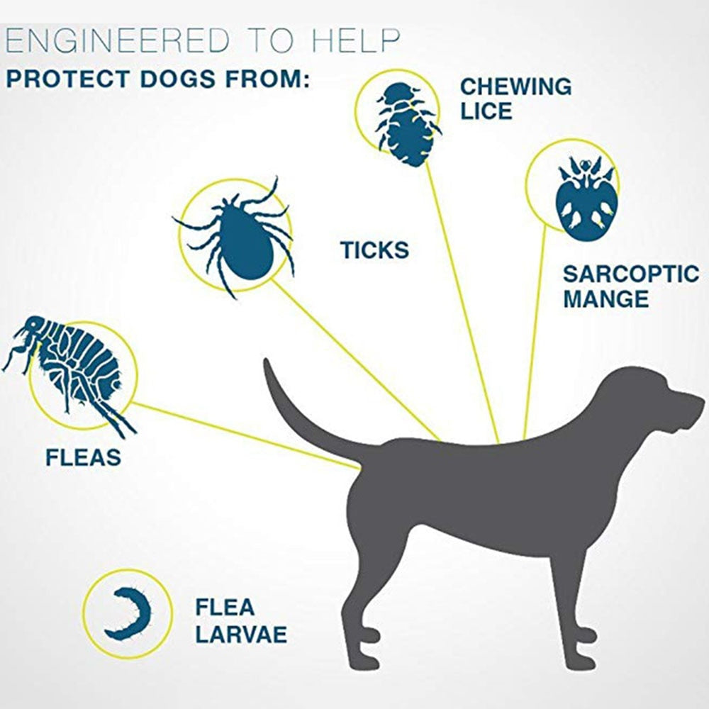 Natural Ant Flea Tick Collar