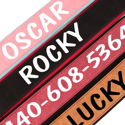 Premium Personalized Dog Collar