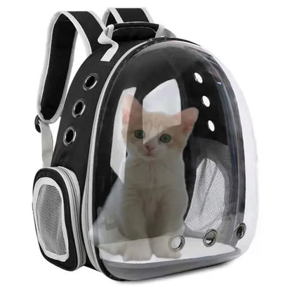 Cat Backpack Travel Capsule