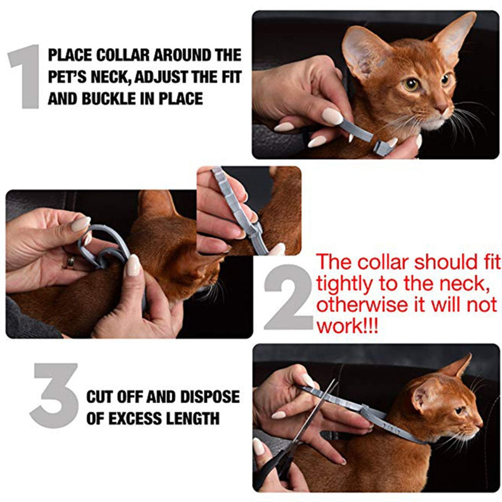 Natural Ant Flea Tick Collar