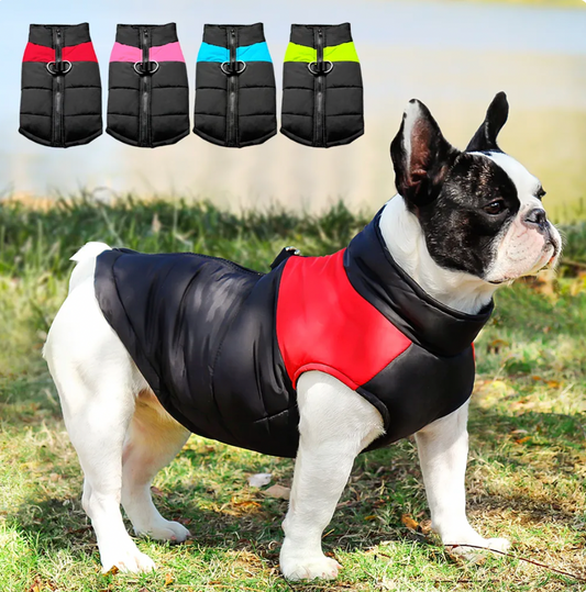 Winter Coat For Dogs