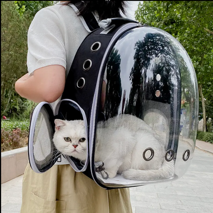 Cat Backpack Travel Capsule