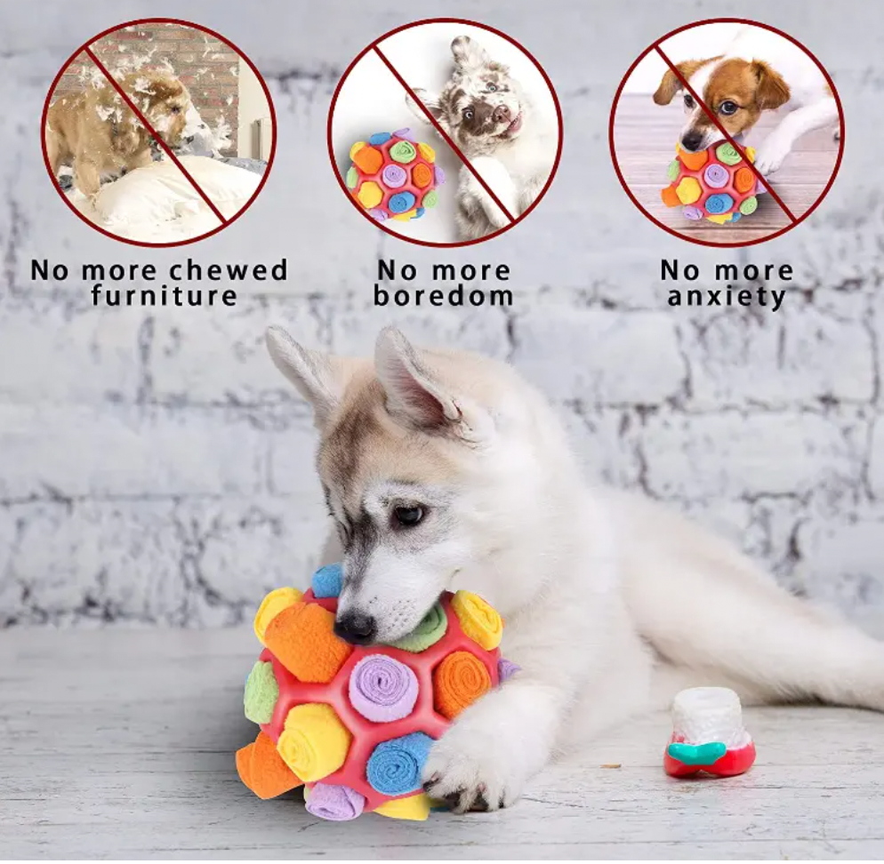 Dog Sniffing Interactive Toy