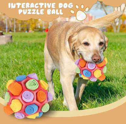 Dog Sniffing Interactive Toy