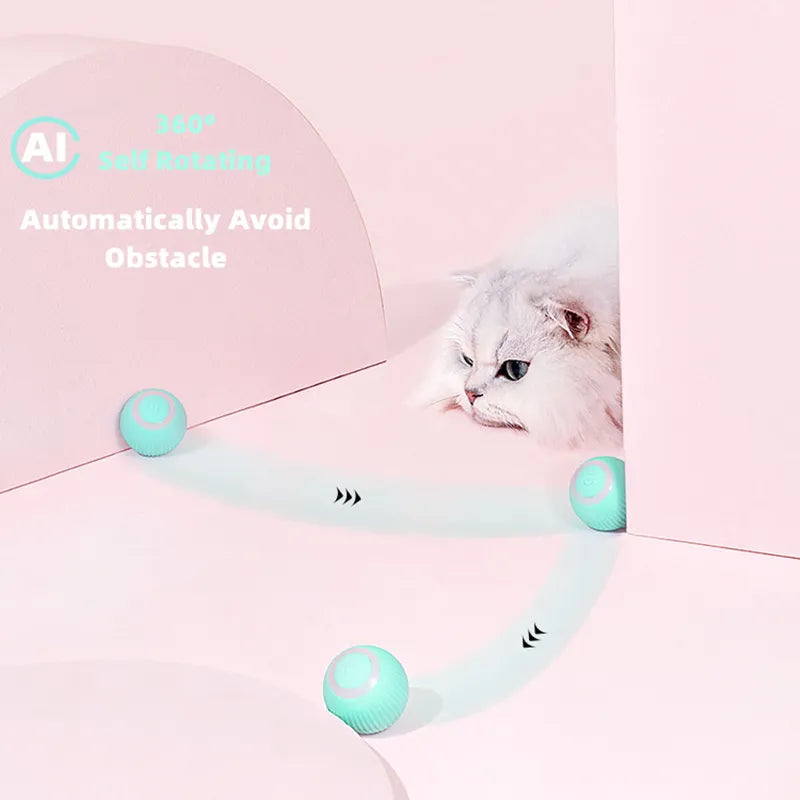 Cat Interactive Smart Ball