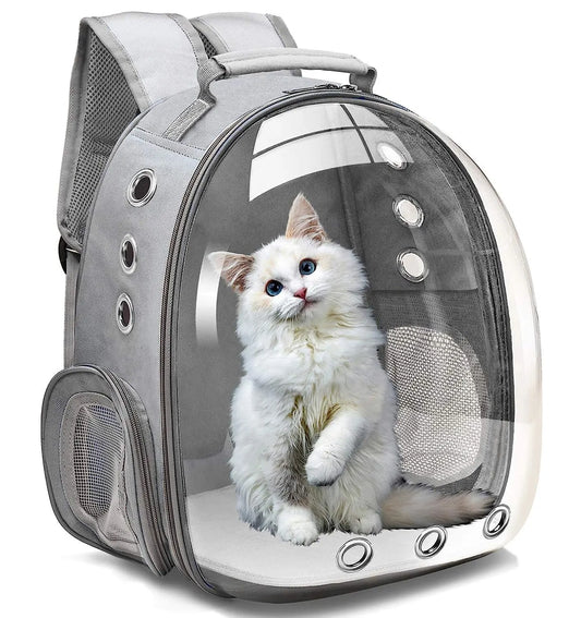 Cat Backpack Travel Capsule