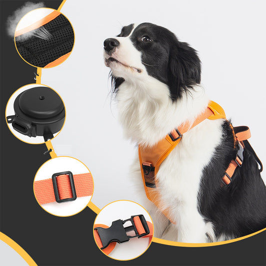 All in One Dog Harness and Retractable Leash