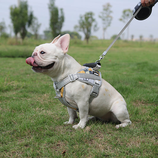 Y - Shaped Personalised No Pull Dog Harness