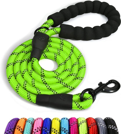 5FT Dog Training Lead