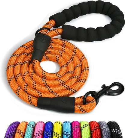 5FT Dog Training Lead