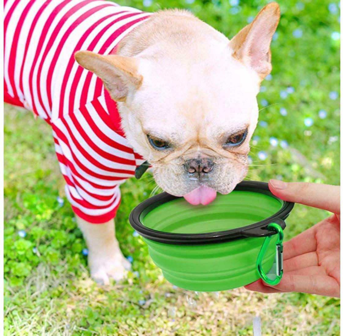 2 Pack Collapsible Dog Bowl For Food & Water